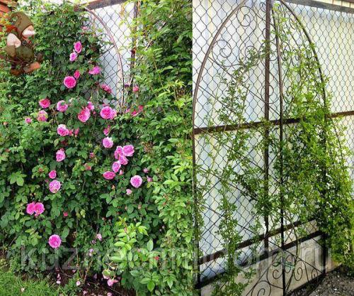 Как сделать перголу для роз своими руками. Шпалера, арка для розы или мини-пергола 06 Как сделать перголу для роз своими руками. Шпалера, арка для розы или мини-пергола 06