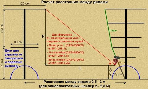 Двухплоскостная шпалера для винограда. Варианты схем
