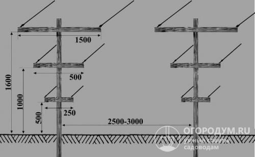На каком расстоянии ставить столбы для винограда. Двухплоскостная