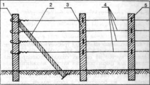 Самостоятельное устройство шпалеры для виноградника. Одноплоскостная шпалера для винограда