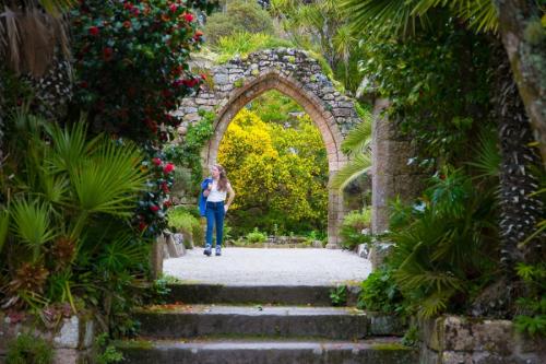 Как сделать арку из металла своими руками. Садовая арка — советы и инструкции по постройке своими руками (120 фото-идей)