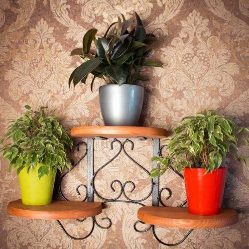 Напольная подставка под цветы своими руками. Виды подставок для растений