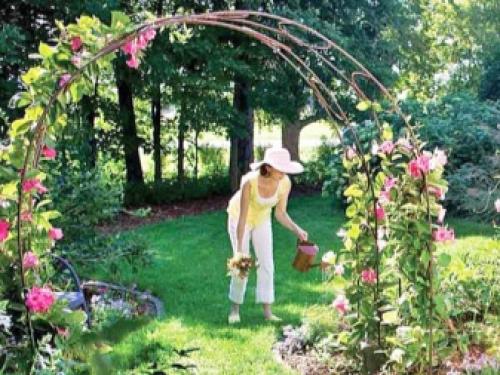 ПЕРГОЛЫ и ШПАЛЕРЫ для роз из дерева в нашем.. Добавление статьи в новую подборку 05 ПЕРГОЛЫ и ШПАЛЕРЫ для роз из дерева в нашем.. Добавление статьи в новую подборку 05