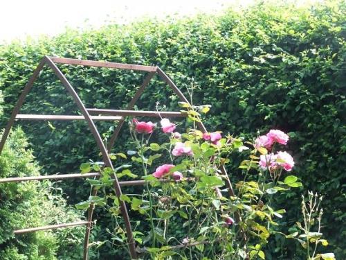 Арка садовая своими руками. Садовые арки — пошаговая инструкция по изготовлению и применению в ландшафтном дизайне