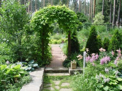 Металлическая садовая арка своими руками. Садовая арка — 140 фото и видео описание, как украсить участок садовыми арками