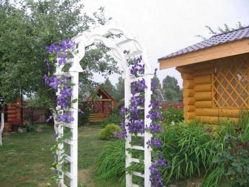 Металлическая садовая арка своими руками. Садовая арка — 140 фото и видео описание, как украсить участок садовыми арками