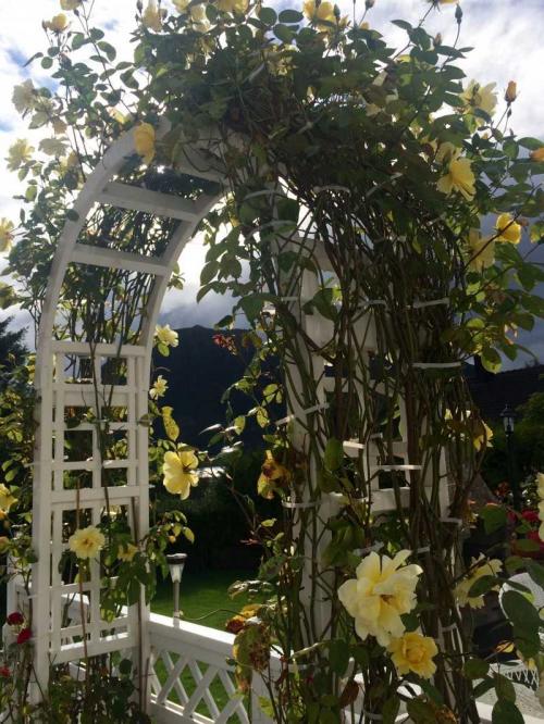 Металлическая садовая арка своими руками. Садовая арка — 140 фото и видео описание, как украсить участок садовыми арками