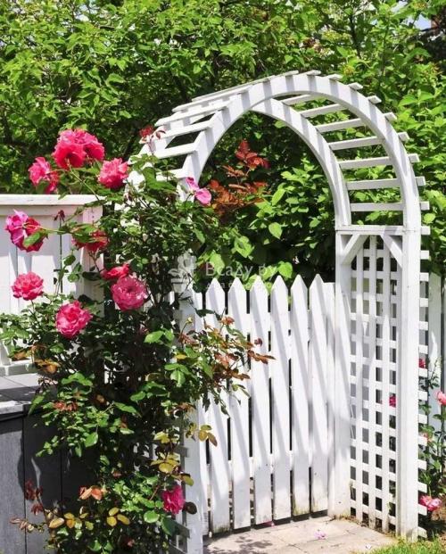 Металлическая садовая арка своими руками. Садовая арка — 140 фото и видео описание, как украсить участок садовыми арками