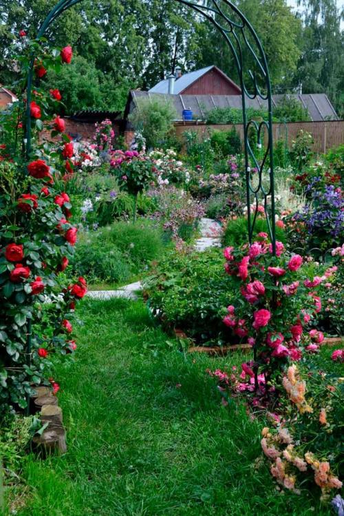 Арка в саду из дерева. Красивая садовая арка: стильные и оригинальные арки и их применение в ландшафтном дизайне (95 фото + видео)