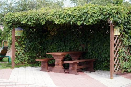 Беседка для винограда своими руками из дерева. Арочная шпалера – плюсы и минусы