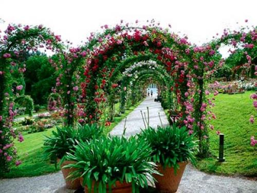 Пергола для роз своими руками. Пергола для роз 11 Пергола для роз своими руками. Пергола для роз 11