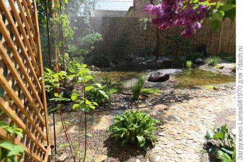 Пергола для цветов своими руками. Пергола своими руками