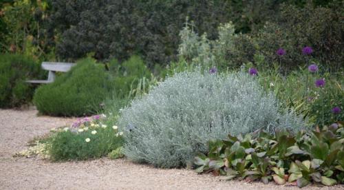 Требования к садовым аркам и перголам. 13 Требования к садовым аркам и перголам. 13