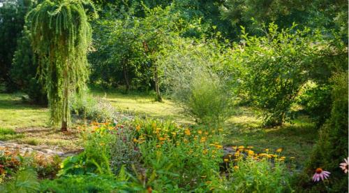 Требования к садовым аркам и перголам. 06 Требования к садовым аркам и перголам. 06