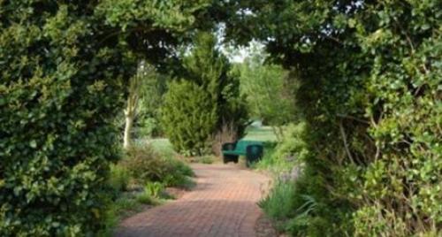 Различия видов садовых арок для растений. Садовая арка – красота в простоте конструкции 18 Различия видов садовых арок для растений. Садовая арка – красота в простоте конструкции 18