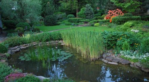 Требования к садовым аркам и перголам. 10 Требования к садовым аркам и перголам. 10