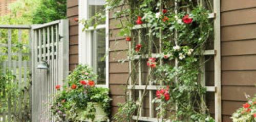 Самая простая опора для плетистой розы. Виды опор для плетистых роз