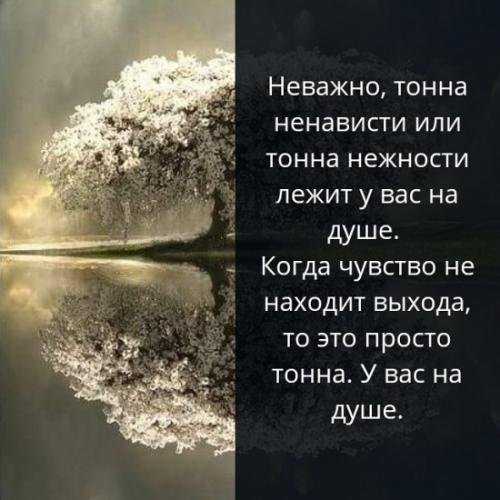 Как пережить безответную любовь. Что такое безответная любовь 01 Как пережить безответную любовь. Что такое безответная любовь 01