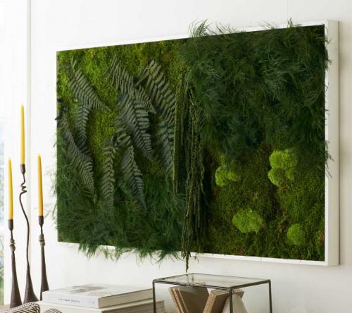 Растения для вертикального озеленения фасадов. Виды вертикального озеленения