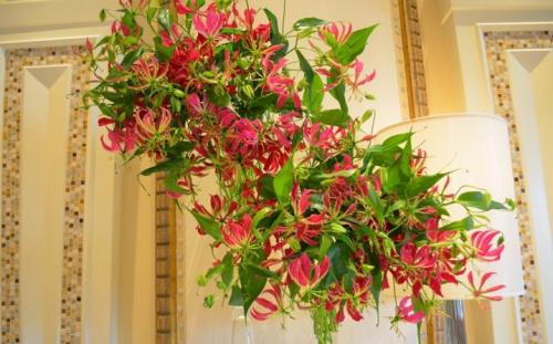 Вьющиеся растения для вашего сада. Общие рекомендации желающим украсить забор, строения, участок. 07 Вьющиеся растения для вашего сада. Общие рекомендации желающим украсить забор, строения, участок. 07