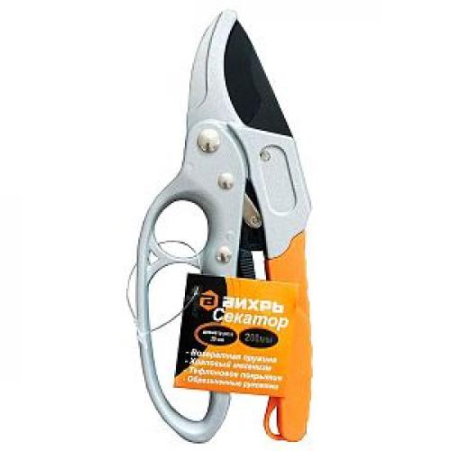 Неприхотливые вьющиеся растения для дачи. Какое растение выбрать для озеленения забора