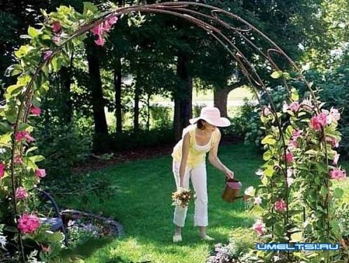 Как установить арку для роз. Арка для плетистой розы своими руками