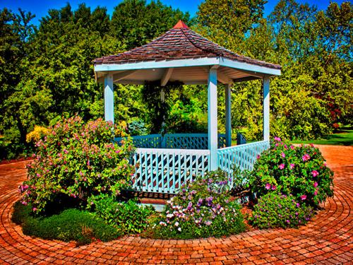 Беседка из девичьего винограда. Чем еще дополнить виноградную беседку?