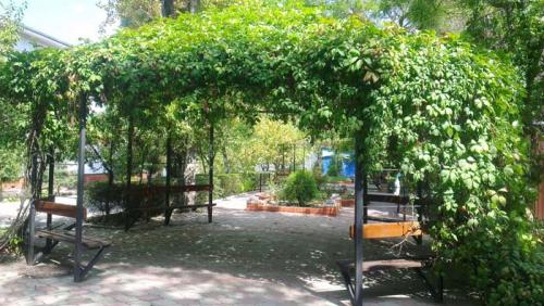 Итальянская пергола для винограда. Пергола для винограда: что скрывается под этим загадочным итальянским названием?