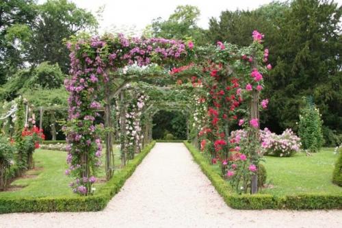 Установка арки для роз. Посадка, установка опоры, направление роста 03 Установка арки для роз. Посадка, установка опоры, направление роста 03