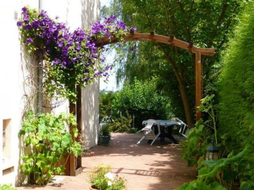 Чем обвить арку. Общие рекомендации желающим украсить забор, строения, участок.