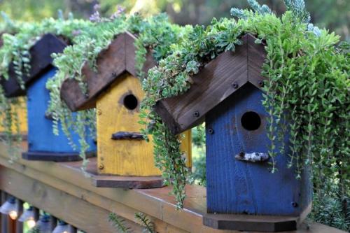 Украшаем садовый участок своими руками. Функциональный декор