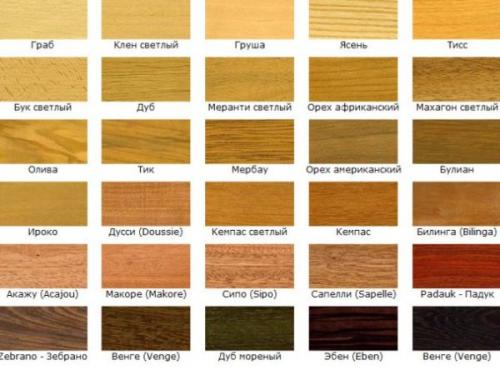 Красивые и простые шпалеры своими руками. Шпалера для винограда — пошаговая инструкция, как сделать своими руками. Обзор популярных конструкций + 100 фото 32 Красивые и простые шпалеры своими руками. Шпалера для винограда — пошаговая инструкция, как сделать своими руками. Обзор популярных конструкций + 100 фото 32