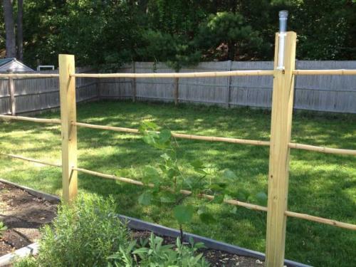 Красивые и простые шпалеры своими руками. Шпалера для винограда — пошаговая инструкция, как сделать своими руками. Обзор популярных конструкций + 100 фото