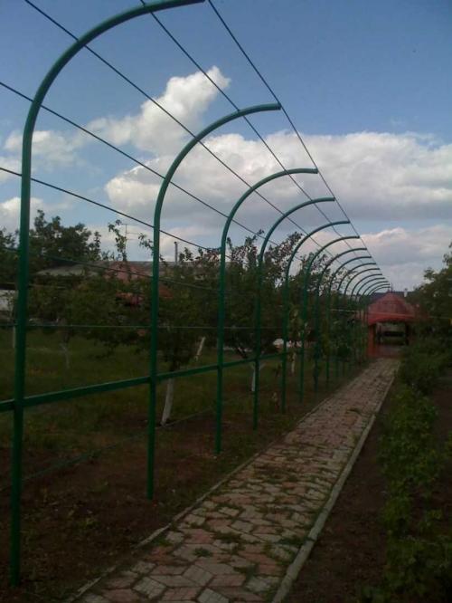 Красивые и простые шпалеры своими руками. Шпалера для винограда — пошаговая инструкция, как сделать своими руками. Обзор популярных конструкций + 100 фото