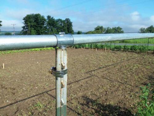 Красивые и простые шпалеры своими руками. Шпалера для винограда — пошаговая инструкция, как сделать своими руками. Обзор популярных конструкций + 100 фото