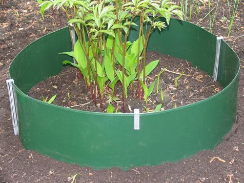 Вьющиеся растения для беседки. Лучшие вьющиеся растения для озеленения беседки 02 Вьющиеся растения для беседки. Лучшие вьющиеся растения для озеленения беседки 02