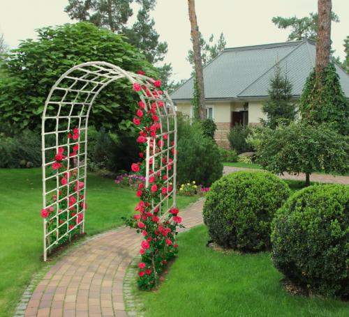 Арки для вьющихся растений. Садовая арка – функции в ландшафтном дизайне