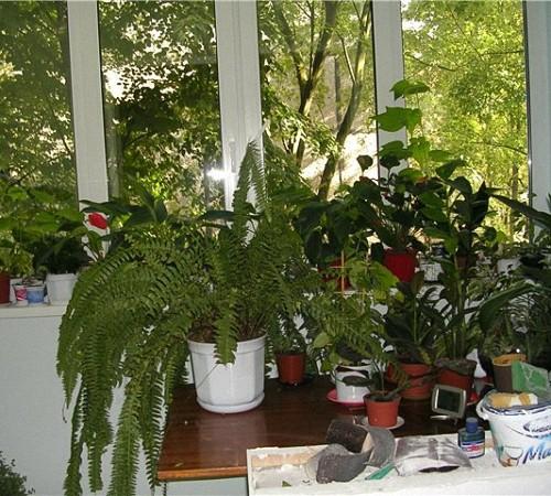 Подставка для цветов своими руками из дерева. Полки для цветов: виды и особенности 01