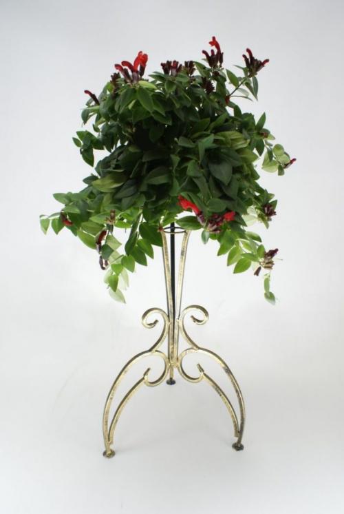 Как украсить интерьер подставкой для цветов. Все о видах подставок для комнатных цветов