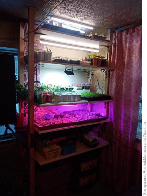 Стеллаж для рассады с фитолампами. Три квадратных метра полезной площади для рассады, или Модификация моего стеллажа