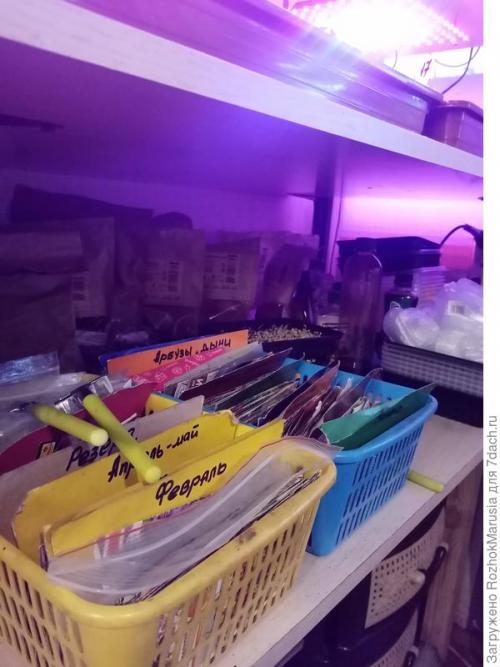 Стеллаж для рассады с фитолампами. Три квадратных метра полезной площади для рассады, или Модификация моего стеллажа