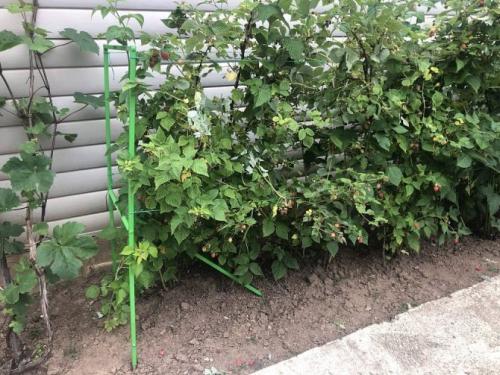 Шпалера своими руками пошаговая инструкция. Самодельная шпалера – несколько способов, как сделать самому