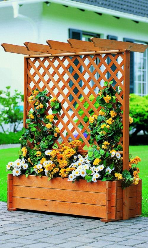 Перголы и шпалеры своими руками. Шпалера своими руками: стильное украшение сада, применение в ландшафтном дизайне, изготовление из различных материалов, инструкции с чертежами и фото