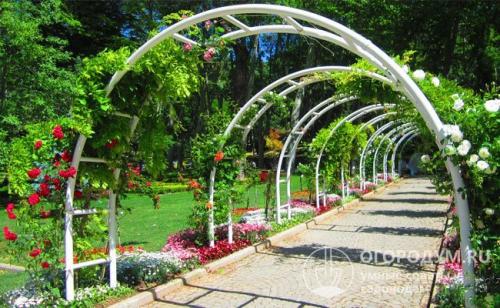 Как сделать арку для роз. Материалы для возведения арок и способы изготовления